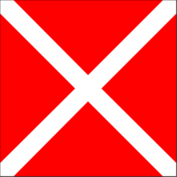The image shows a red flag with white crosses on it against a plain background.