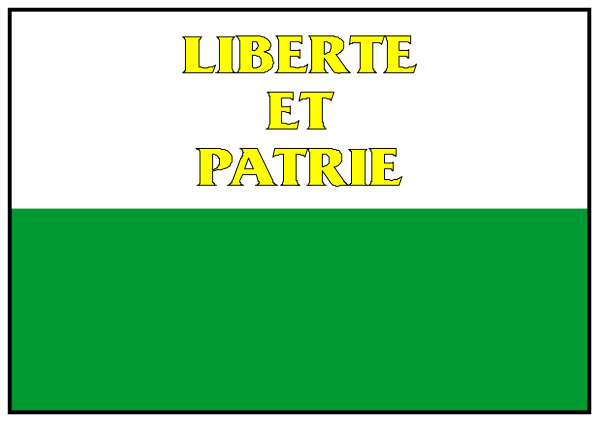 The image shows a pixelated flag with text on it that reads "LIBERTE ET PATRIE" against a white background atop what appears to be an abstract representation of land in green tones, suggesting this is related to France's national motto and colors.