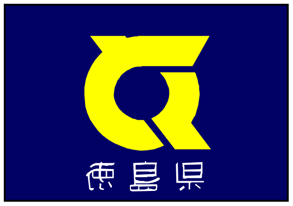 The image shows a blue flag with Chinese characters on it, featuring an emblem that resembles a shield-like design in yellow at its center.