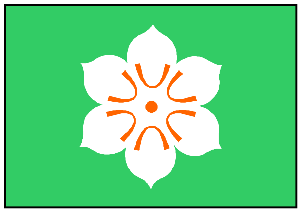 The image shows a green rectangular box with an intricate white floral design on it against a gray background; there is no text present in this clip-art illustration.
