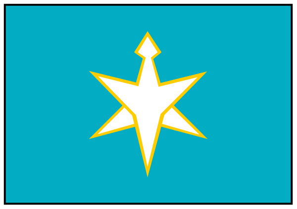 The image shows a blue flag with an emblem of a white star on it inside what appears to be a black border that resembles a shield shape at its top right corner.