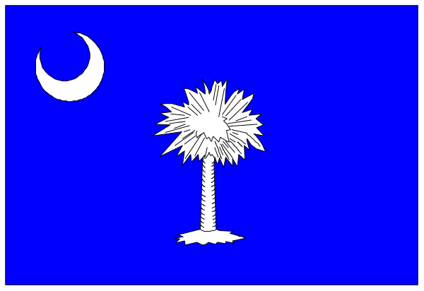 The flag of South Carolina with a crescent moon on it flying over an open book.