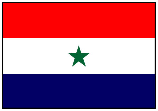 The image shows a pixelated representation of two flags: on top, there's an American flag with its stars; below it is another flag that appears to be from Afghanistan due to its design resembling their national symbol and stripes in red white blue.