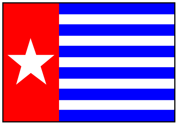 The flag of Fiji with a red star on it next to another smaller flag that appears to be from China.