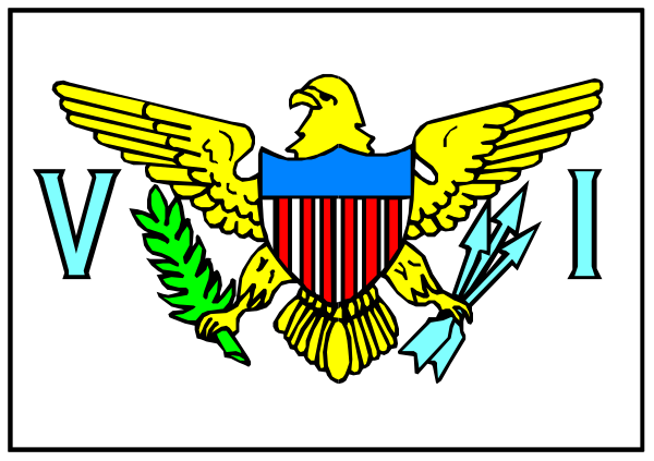 The image shows a stylized American eagle with its wings spread wide above an emblem that includes Roman numerals V and VI on either side of what appears to be a shield-like design featuring stars, stripes, olive branches, arrows, and rays extending from the top right corner.