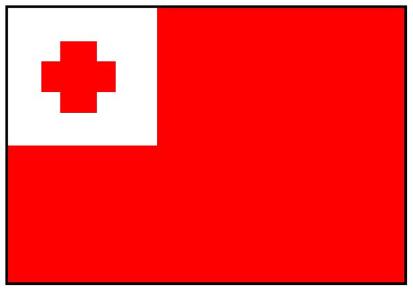 The image shows a pixelated battery with red coloring on it that resembles an island nation's flag inside of what appears to be a gray container.