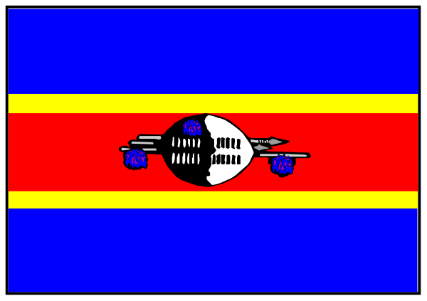 The image shows a red flag with an airplane on it flying over a blue sky background.