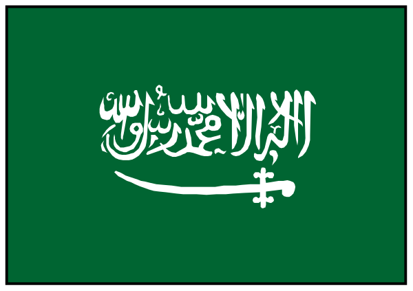The flag of Saudi Arabia displayed on a green background with white borders at top and bottom.
