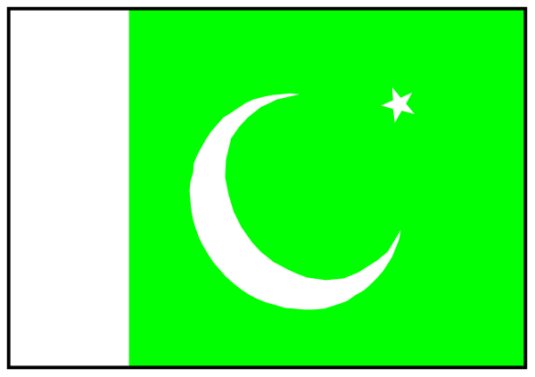 The flag of Pakistan with a battery symbol on it next to another similar but blank battery shape.