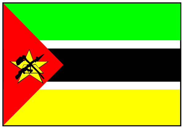 The flag of Zimbabwe with a red star on it next to another smaller rectangular banner featuring an emblem resembling a shield in green and yellow stripes.