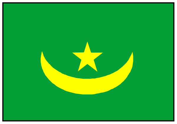 The image shows a pixelated representation of two flags: on top, there's an American flag with its stars; below it is a green crescent moon against white background representing Islamic faith.
