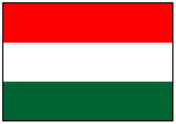 The image shows a pixelated representation of an object with red stripes on top half and green bottom half resembling a flag design inside what appears to be a white rectangular frame.