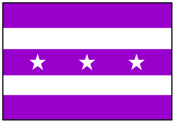 The image shows a purple banner with white stars on it against a gray background.