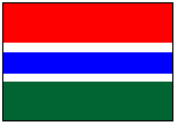The flag of South Africa with a green border on either side.