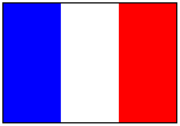 The image shows a pixelated representation of an American power strip with two outlets; on it is a French flag sticker in one slot.
