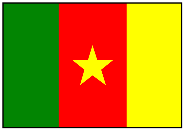 The flag of Cameroon with a pixelated border around it on a gray background.