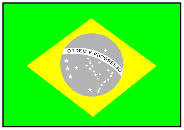 The flag of Brazil with a green border on either side.