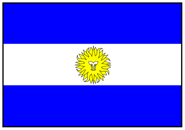 The flag of Argentina with a blue background on top half and white stripes at bottom is displayed against gray backdrop.