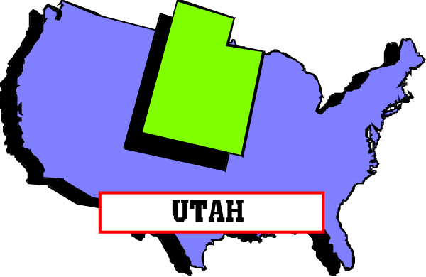 The image shows a stylized map of the United States with an overlaid graphic that resembles a puzzle piece in green coloring on top of it.