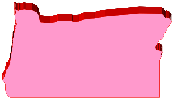 The image shows a pink rectangle with red text on it that reads "WASHINGTON" inside of an irregularly shaped border in black against a grey background.