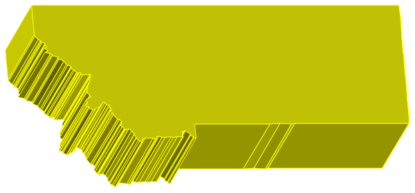 The image shows a yellow license plate with black text on it against an indistinct background that appears to be out of focus.