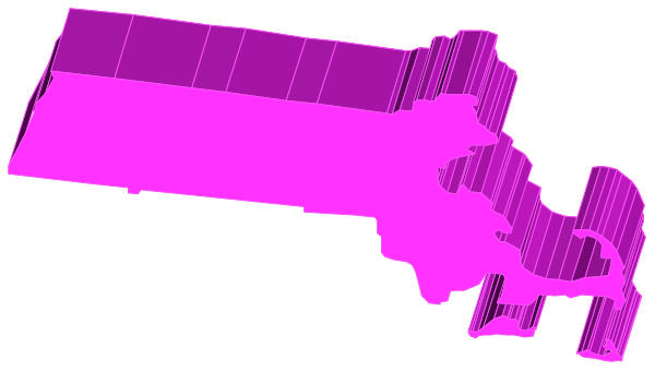 The image shows a pink silhouette of an object that resembles a gun with two bullets on either side in front of it against a black background.