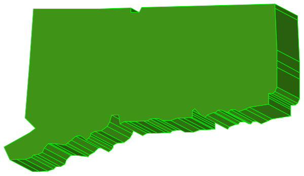 The image shows a stylized map of New York state with its borders outlined by green lines against a gray background.