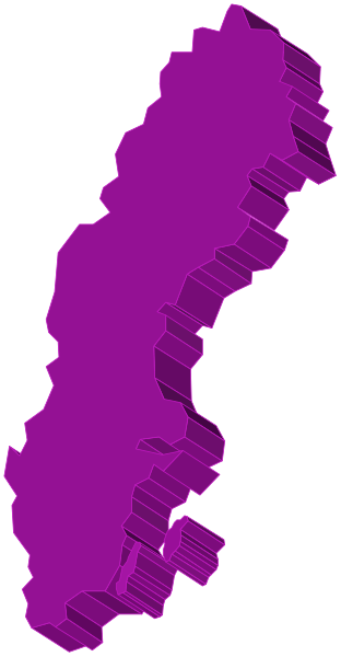 The image shows a purple abstract shape with jagged edges on top of what appears to be an overlaid black-and-white photo background featuring lines that could represent roads or paths in different directions.