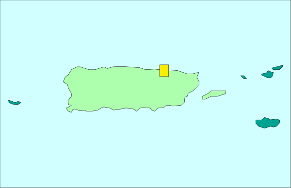 The map shows a simplistic representation of an island with two flags on it; there is no text present within this image.