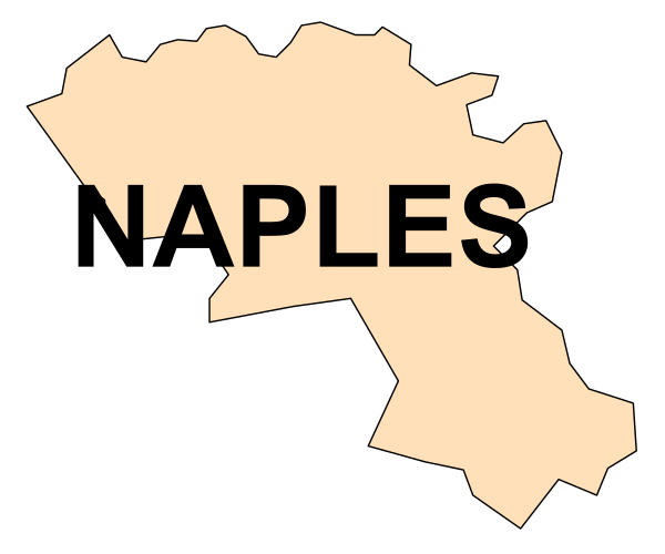 The image shows a map of Naples with text that reads "NAPES" on it.