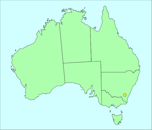 The map shows a section of Australia with Western Sydney University marked on it; there is also an overlay that appears to be from Google Maps showing street names in white text against blue backgrounds for different levels, and one yellow pinpointing a location within this area.
