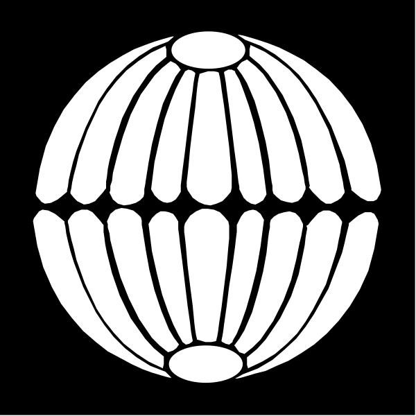 The black and white logo of a globe with lines connecting it to various points around its circumference is shown against a dark background in this small clip-art image.