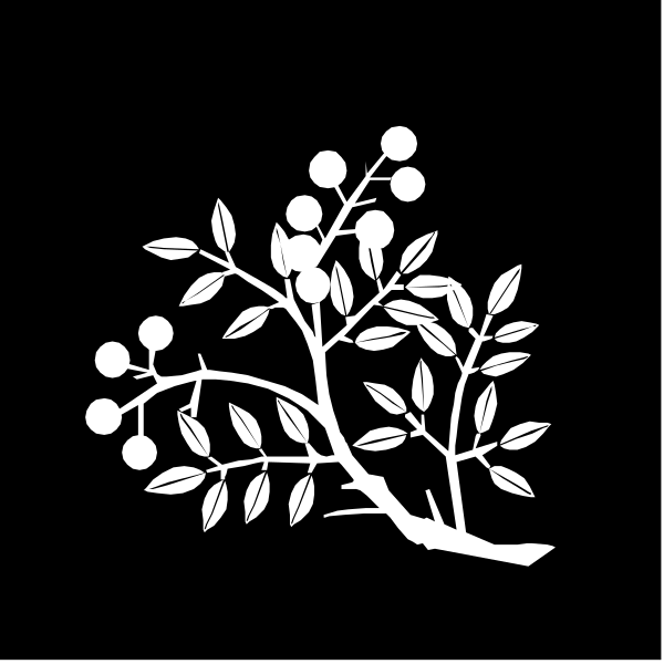 The black and white illustration shows a tree with leaves on top of it and berries at its base, set against a dark background.
