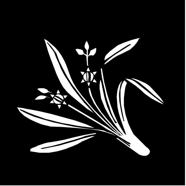 The black and white illustration features a stylized plant with leaves on either side of what appears to be an open flower in the center, surrounded by small flowers at its base.