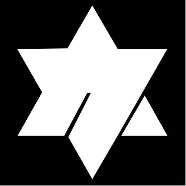 The logo of a company that sells Jewish items with an Israeli flag symbol on it.