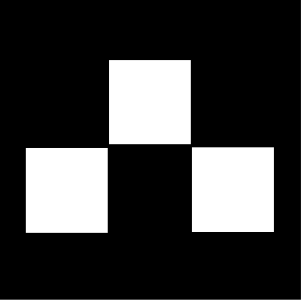 The image shows a black checkered flag with white borders on it.