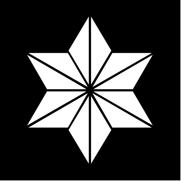The image shows a black and white star with six points inside it on an otherwise dark background.