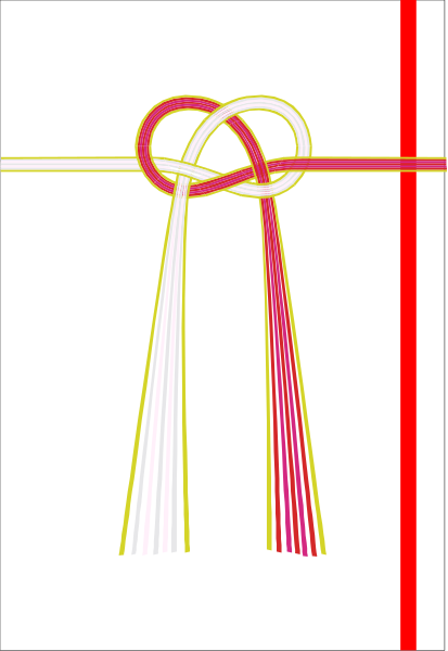 The image shows a red ribbon tied into two loops with tassels on either end against a white background.