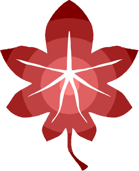 The image shows a red flower with six petals against a black background.