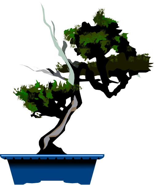The image shows a bonsai tree with green leaves inside of a blue pot on top of what appears to be an outdoor table in front of some foliage under a dark sky at nighttime.