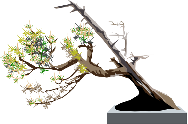 The image shows a black and white illustration of two bonsai trees with different styles: on top is an upright tree in full bloom; below it is another smaller one that appears to be dormant, both placed against a dark background.