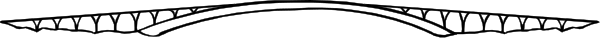 The image shows a simple black line on an otherwise plain background with no other discernible features to report.