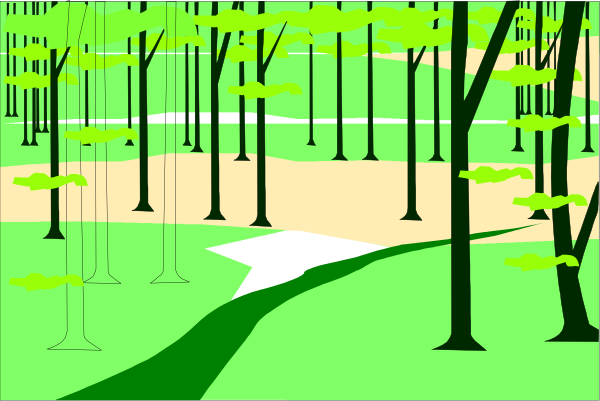 The image shows a forest scene with trees of varying heights against an overcast sky on what appears to be a cloudy day in autumn.