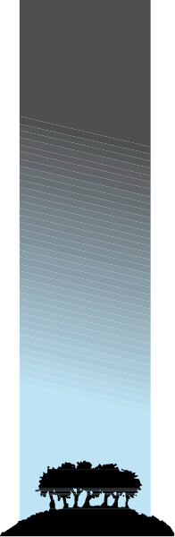 The image shows a vertical split with two different scenes: on top, there is an outdoor scene at night featuring three trees; below it, another nocturnal view of what appears to be a cityscape under a blue sky and stars.