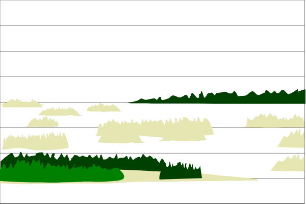 The image shows a nighttime scene with silhouettes of trees against a dark sky on what appears to be an island in water.