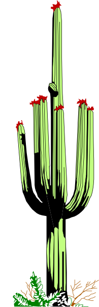 The image shows a stylized cactus with red flowers at its top against a dark background.