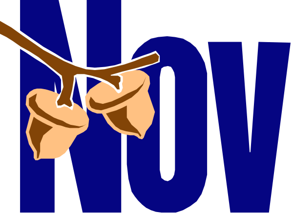 The image shows a graphic with text that reads "NOW" at top right corner against blue background; below it is an illustration of two brown acorns hanging from what appears to be a branch on which there's also another object, possibly fruit or flower bud, in the center-right.