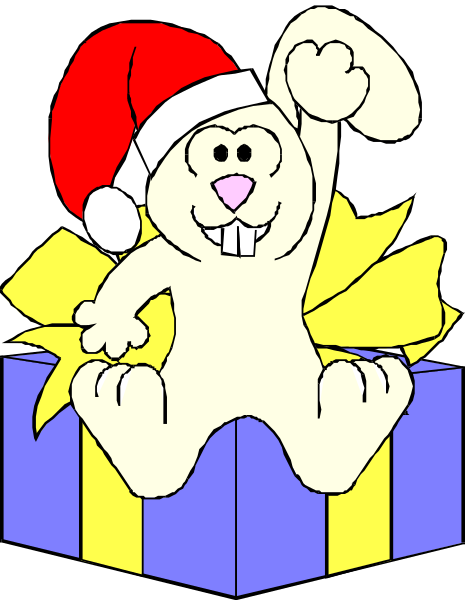 The cartoon depicts a rabbit wearing Santa Claus's hat with its arms raised above it while sitting on top of an open gift box that has "Birthday" written across it in red letters, and there is another smaller present behind them.