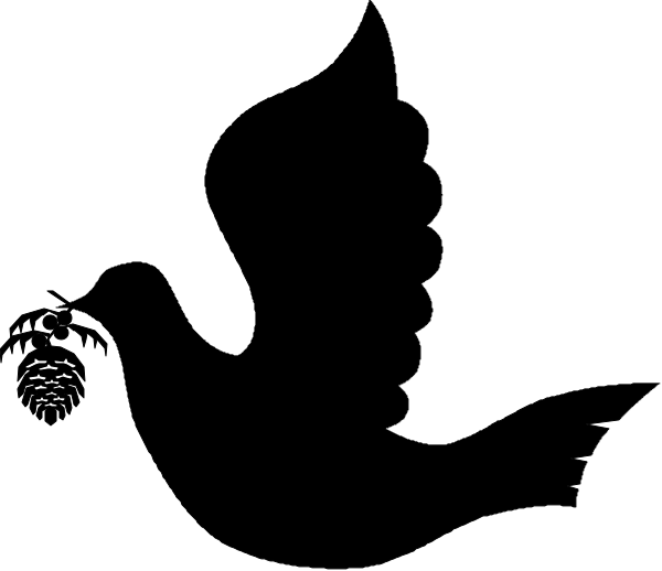 The image shows a black screen with white text that reads "Welcome to your new home."
