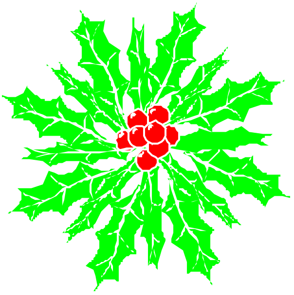 The image shows a closeup of two different views of an evergreen branch with red berries against black backgrounds; on left is full view showing multiple branches intertwined while right inset zooms into one specific branch and its leaves, emphasizing detail like veins and texture.